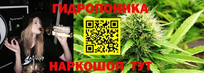 прущий лед Будённовск