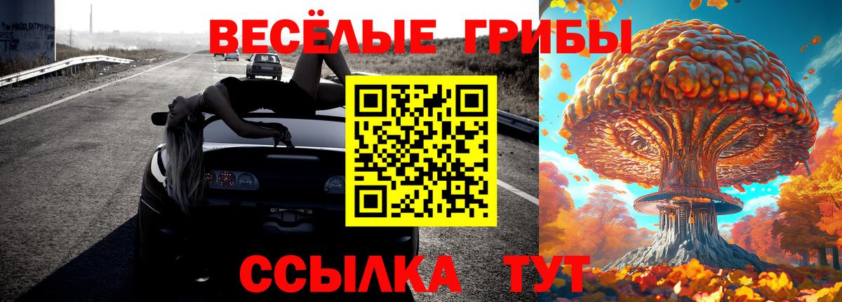 купить наркотики сайты  Вход с VPN  Краснознаменск  Псилоцибиновые грибы GOLDEN TEACHER  Галлюциногенные грибы MAGIC MUSHROOMS 