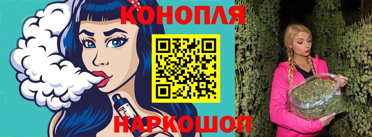 Бошки Шишки ГИДРОПОН Краснознаменск